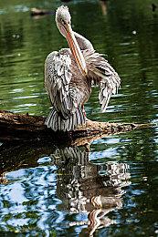 《消逝的光芒》新补丁为XSS加入60FPS模式